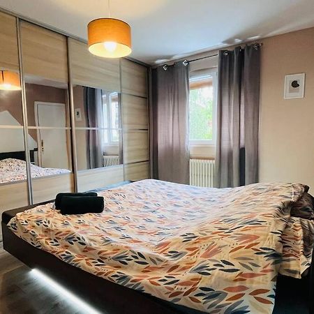 אנסי Appartement Proche Centre Ville Avec Parking Gratuit מראה חיצוני תמונה